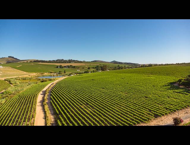 94HA FARM FOR SALE IN STELLENBOSCH FARMS
